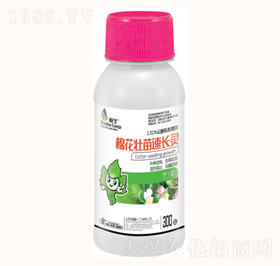 ޻L(zhng)`-λ