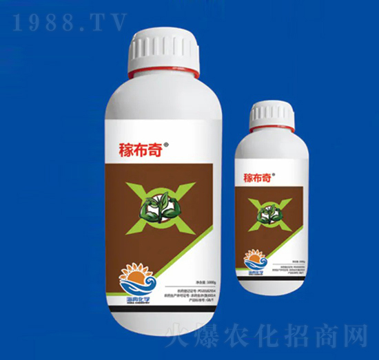 40%ϩ˪ ڲ ȽW(xu)1