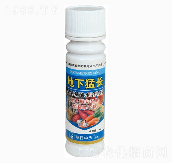 (zhun)-L(zhng)-ʘI(y)