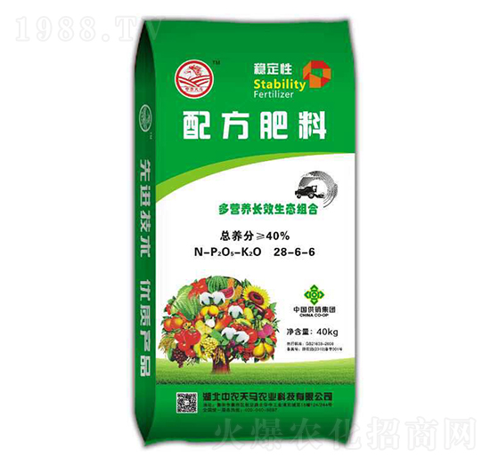 ䷽28-6-6-r(nng)R