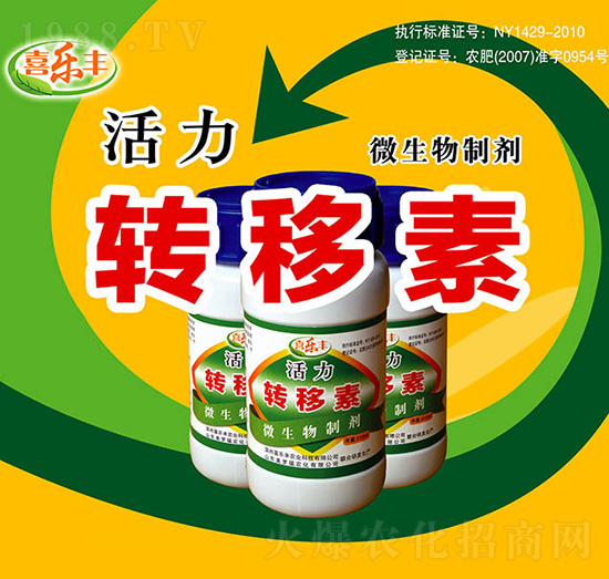D(zhun)-ϲ(l)Sr(nng)I(y)