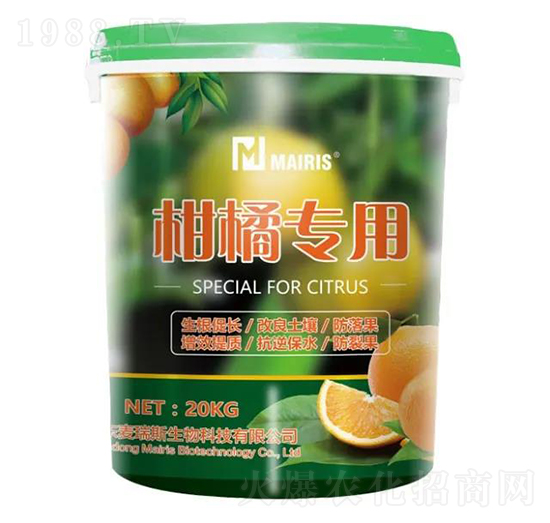 ٌ(zhun)-˹