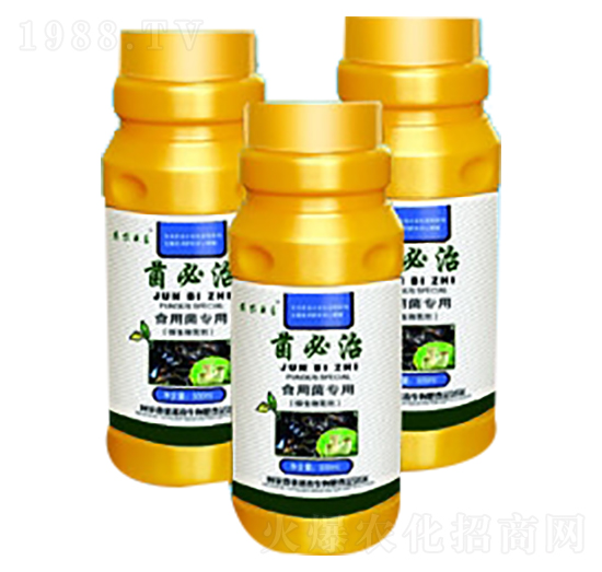 ʳþ(zhun)--_(ti)