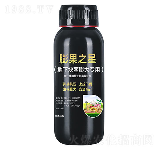 Ko(zhun)-֮-r(nng)I(y)