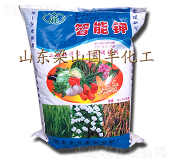 ߼-(gu)SʘI(y)
