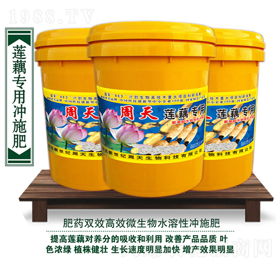 ɏź(zhun)Û_ʩ-