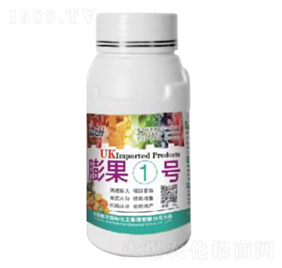 膨果1號(hào)-英國(guó)倍爾-普康田