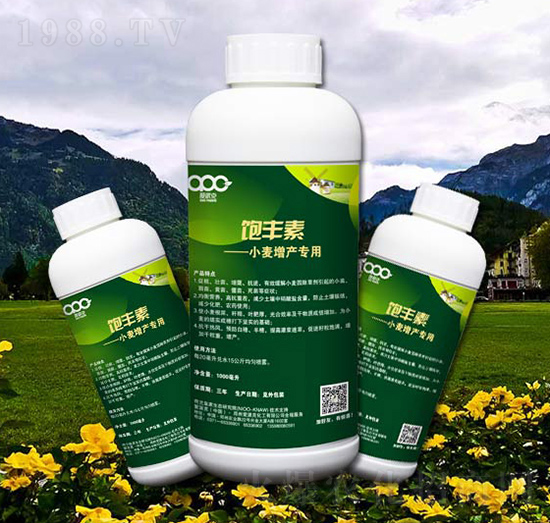 Сa(chn)(zhun)~-S-(i)ɿ