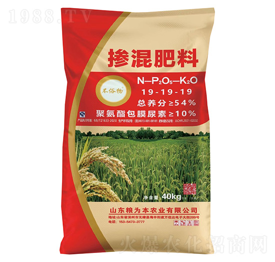 19-19-19--Z鱾rI(y)