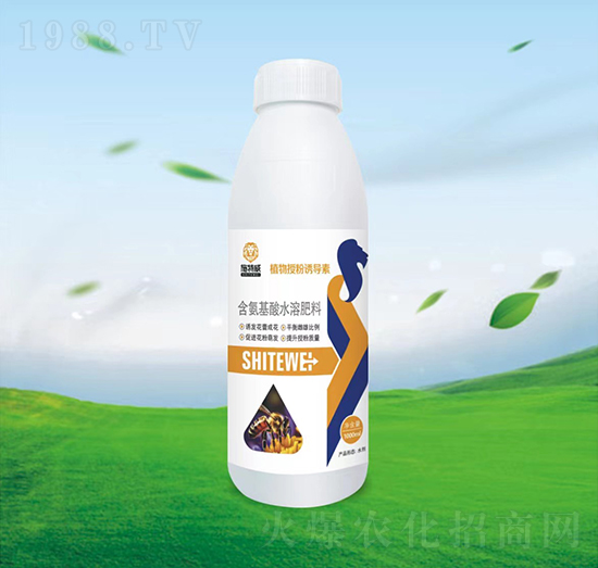 1000mlֲڷT(do)-ʩ