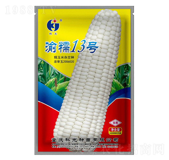 Ŵ13̖-ƹN