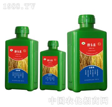 Z(zhun)ðҺķ-Ħ-(qing)о(gu)H