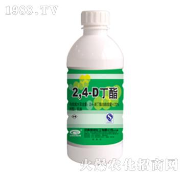 72%24ζ-G