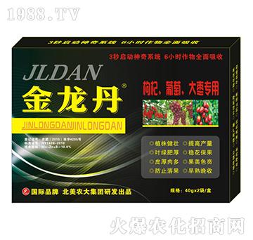-󗗌(zhun)-r(nng)