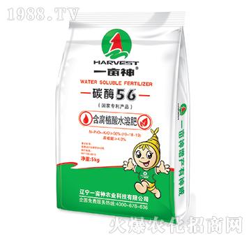 含腐植酸水溶肥19-18-19-碳酶56-一畝神