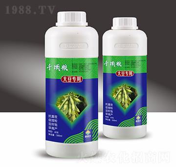 󶹌úˮܷ-ǧ핼Z-M}(cng)