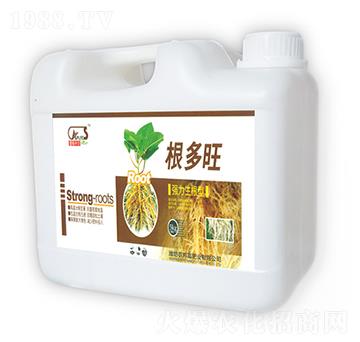 (qing)--r(nng)