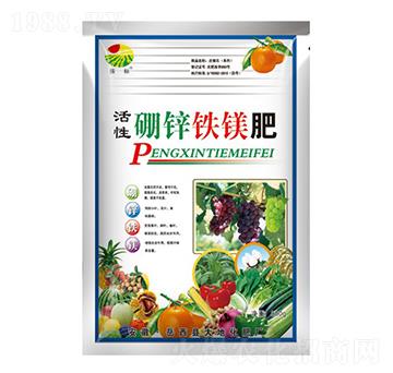 800g\FV-(bio)-ػ