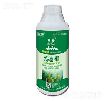 500ml--r(nng)