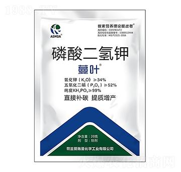20g-~-ʩ