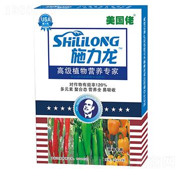 (gu)(zhun)~-ʩ-G