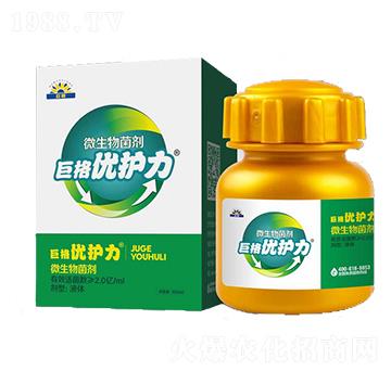 ΢-(yu)o-޸