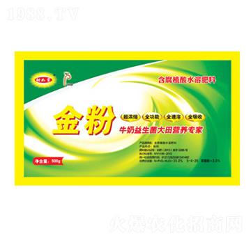 ţI(yng)B(yng)-