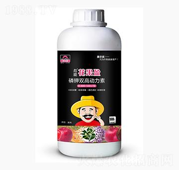 彪能花果盈-美爾森農(nóng)業(yè)