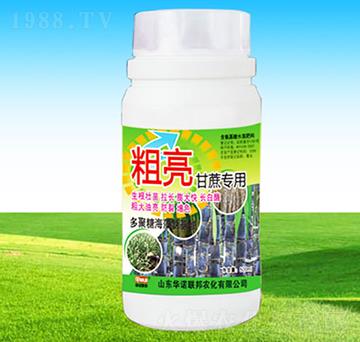 ጣ(zhun)-AZ(lin)