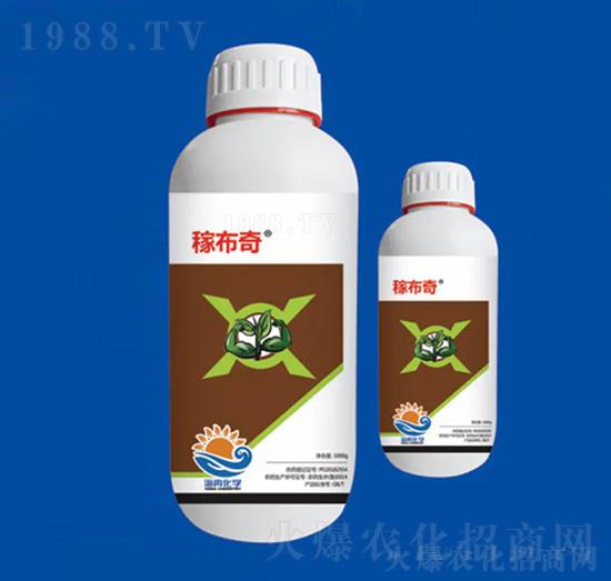 40%ϩ˪ ڲ ȽW(xu)1