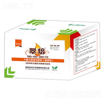 ԪؑҸ100-100-300+TE-䱺-K