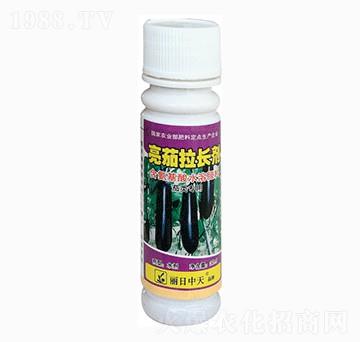L(zhng)-ʘI(y)