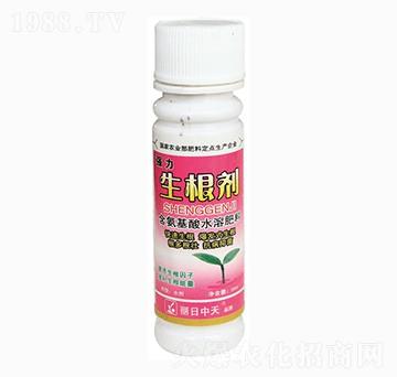 (qing)-ʘI(y)