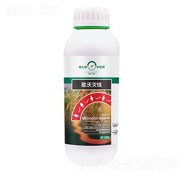 W֜羀(xin)-Wm
