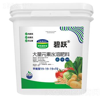 平衡型大量元素水溶肥料19-19-19+TE(桶)-碧躍-中科潤爾豐
