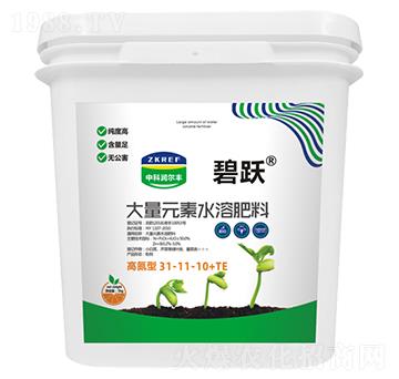 高氮型大量元素水溶肥料31-11-10+TE(桶)-碧躍-中科潤爾豐