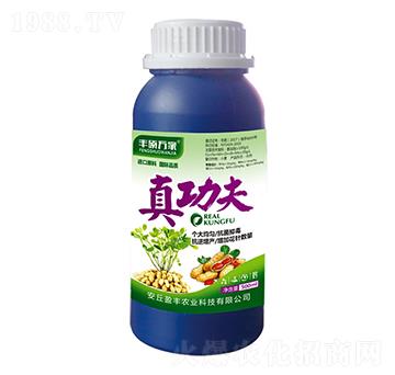 湦-STf-ӯSr(nng)I(y)