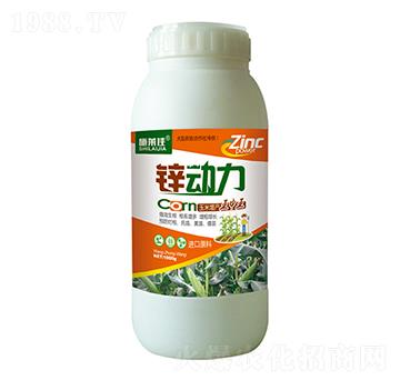 1000\(dng)-ʩR-ӯSr(nng)I(y)