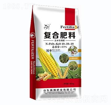 ׌(zhun)Ï(f)Ϸ19-19-19-vʘI(y)