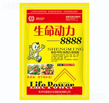 (dng)8888-S
