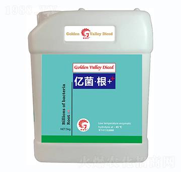 億菌·根-金谷丁
