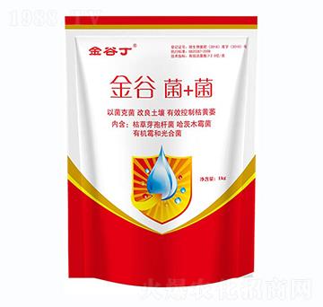金谷菌+菌-金谷丁