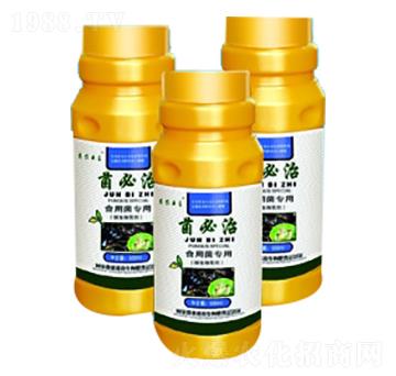 ʳþ(zhun)--_(ti)
