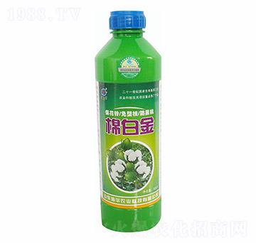 ް׽500ml-Ar(nng)I(y)