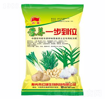 [⌣(zhun)÷-t