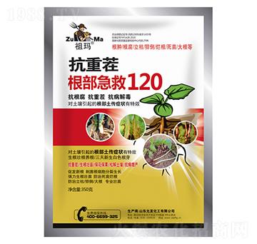 ز120350g-欔-ʰl(f)