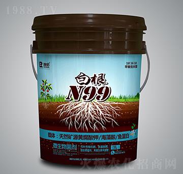 白根N99-融昭農(nóng)業(yè)