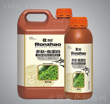 茶葉類含氨基酸水溶肥料-多肽·魚蛋白-融昭農(nóng)業(yè)