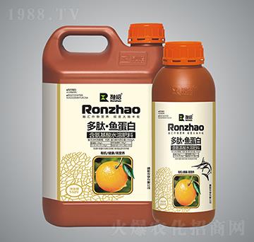 柑橙類含氨基酸水溶肥料-多肽·魚蛋白-融昭農(nóng)業(yè)