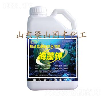 5kg-SʘI(y)